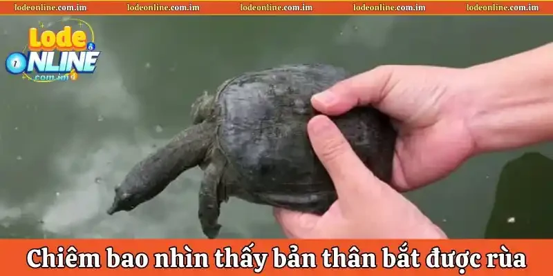 Chiêm bao nhìn thấy bản thân bắt được rùa